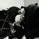 for-fox-sake-fox avatar