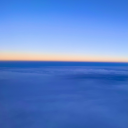 for-get-me-knot avatar