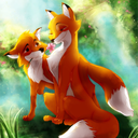 for-the-love-of-fox avatar