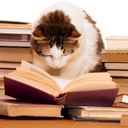 for-the-love-of-literature avatar