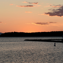 for-the-shipping avatar