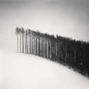 foralsket-blog avatar