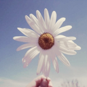 forbiddensunlight-blog avatar