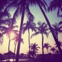 forbittenlove avatar