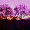 fordwranglersnsfw-blog avatar