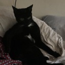 forest-green-sage avatar