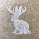 forest-of-the-jackalope avatar