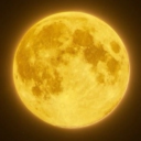 forest-raised-wolfdog avatar