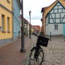 forest-watcher avatar