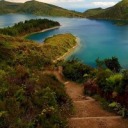 forestcontemplation avatar