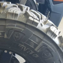 forestenviouss avatar