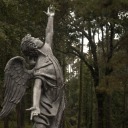 forester-goblin avatar