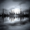 forester22-blog avatar