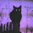 forestfeathers avatar