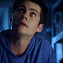 forestfoundling avatar