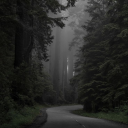 forestgardenerssoul avatar