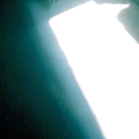 forestmanagement avatar