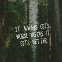 forestoflover avatar