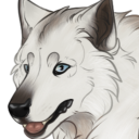 foresttprincee avatar