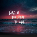 forever-------------young avatar