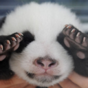 forever-a-sconed avatar