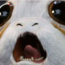 forever-fall04 avatar