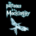 forever-is-over avatar