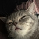 foreverbuzzing avatar