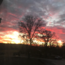 foreverfullbliss avatar