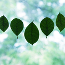 foreverinamotion avatar