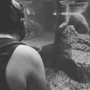 foreverisnows avatar