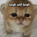 foreverlivingdying avatar