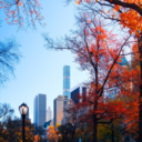 foreverr-a-dreamerrr avatar