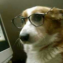 forevertheavaricious avatar