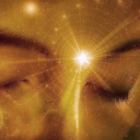 foreverwildnfree avatar