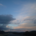 forgetabouttttme avatar