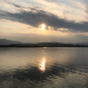 forgetfultaco avatar