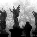 forgetmenot1sy avatar