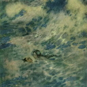 forgetmenotinblue avatar