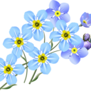 forgetmenotstudying avatar