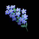 forgetnottheghost avatar