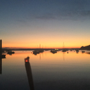 forgettabledrugdealer avatar