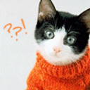 forgiven-naunet avatar