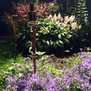 forgothowstofly avatar