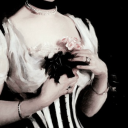 forgottenlace avatar