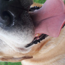 forgottenpolaroidd avatar