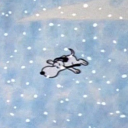 forgottenswan avatar