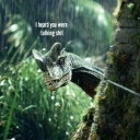 forgottenwind avatar