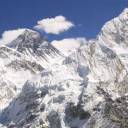 forlornfrostborn avatar