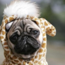 former-anon-blog avatar